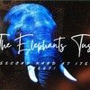 elephants_tusk